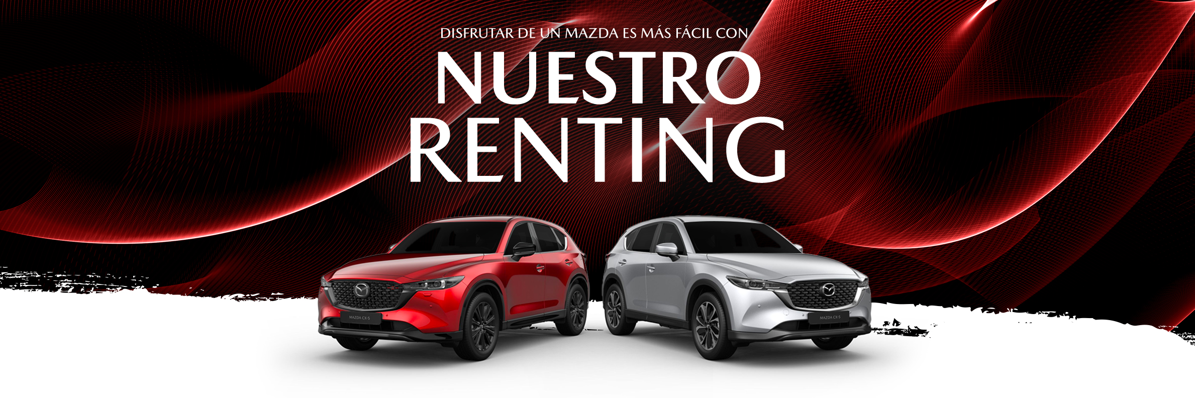 Banner-Norkar