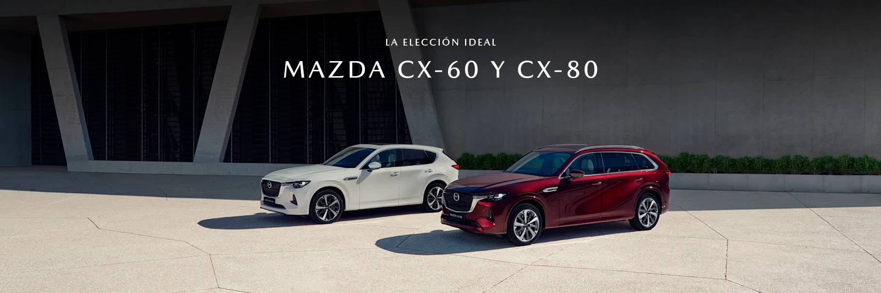 02_MAZDA_JUNIO
